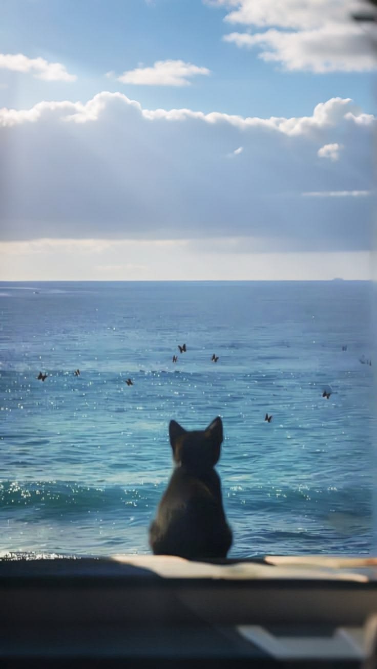 Rizky Mustikasari S.E., M.Ec.Dev.